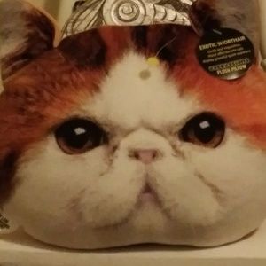 EXPRESSIONS PLUSH PILLOW